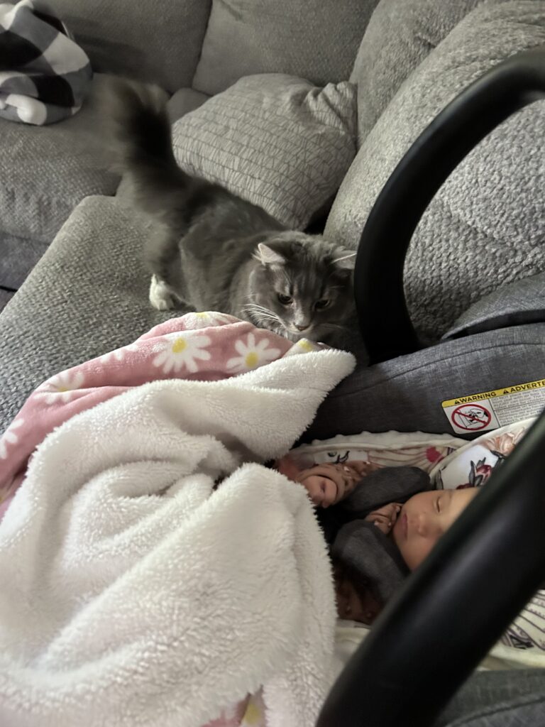 Charlotte and baby in a carrier