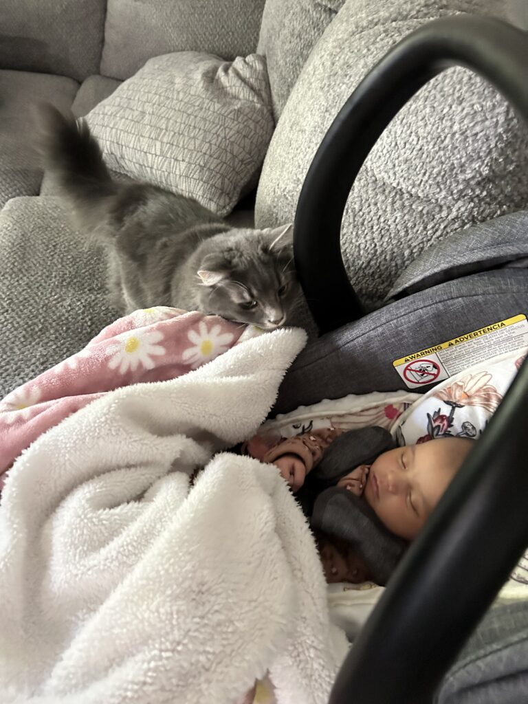 Charlotte and baby in a carrier