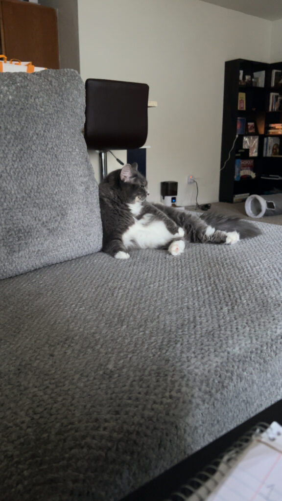Charlotte laid on the couch, showing her belly. 