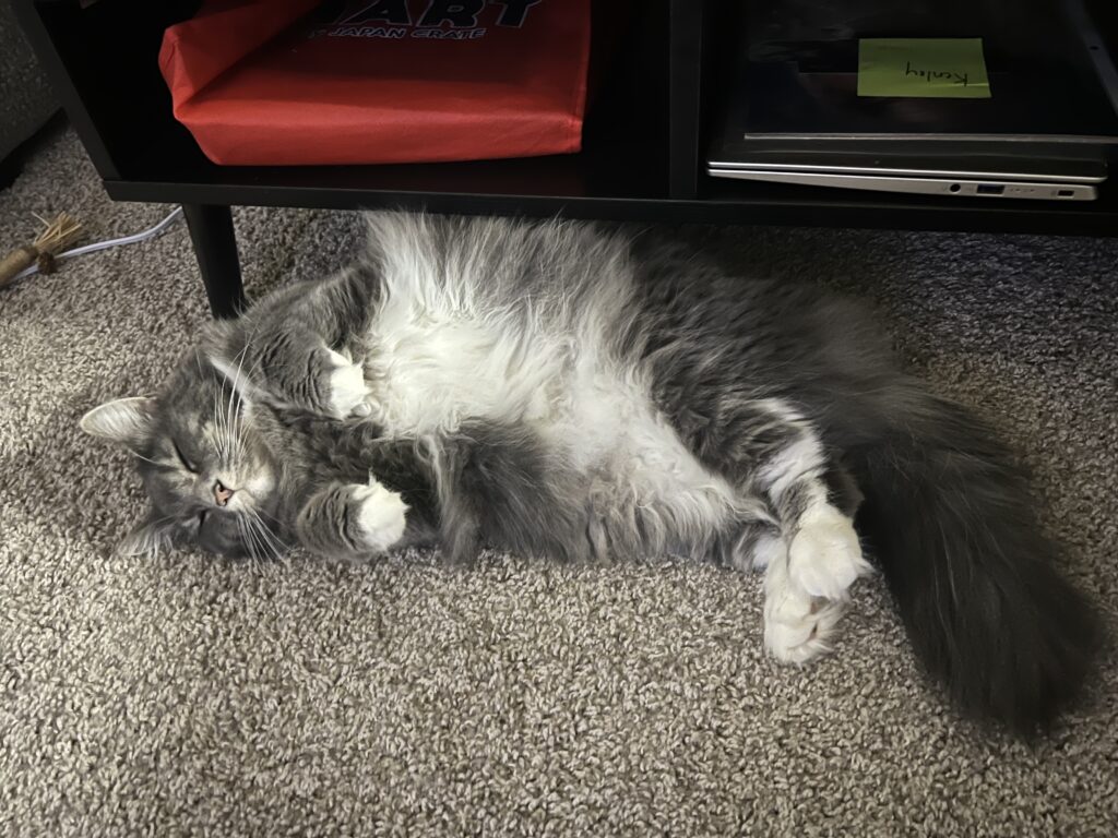 Charlotte showing off her belly while pretending to nap