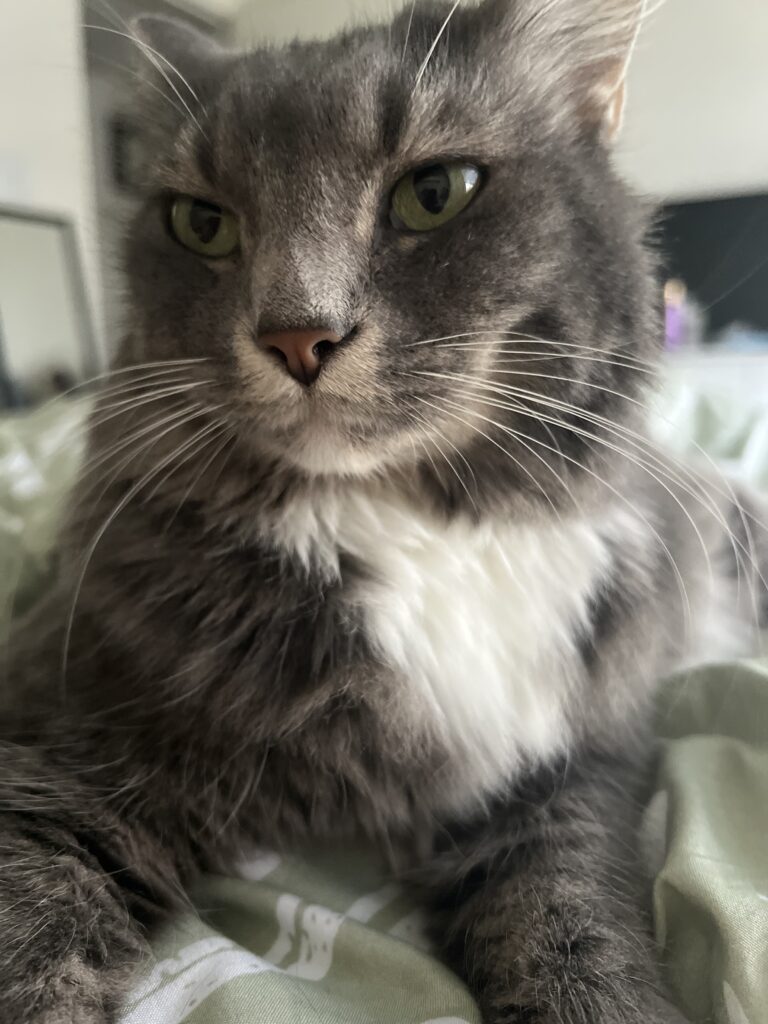 Charlotte laying on the bed